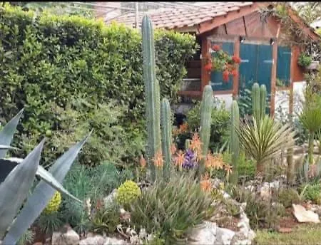 Cactus House Gaspar Lägenhet *