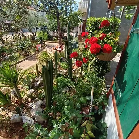 Cactus House Gaspar شقة