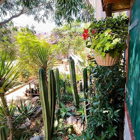 Lägenhet Cactus House Gaspar *