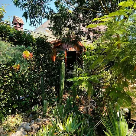 Cactus House Gaspar *