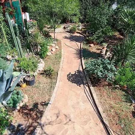 公寓 Cactus House Gaspar 扎达尔